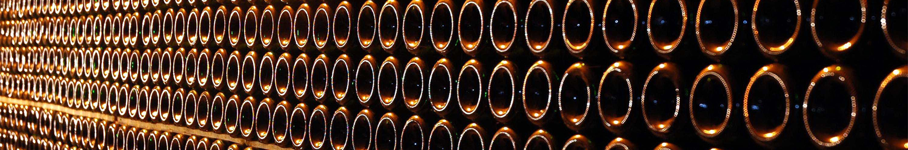 Place to Place Shuttles and Tours