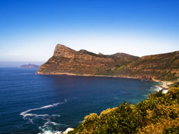 Cape Town and Hermanus Highlights