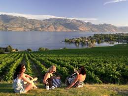 Stellenbosch, Franschhoek & Paarl Wine Tours