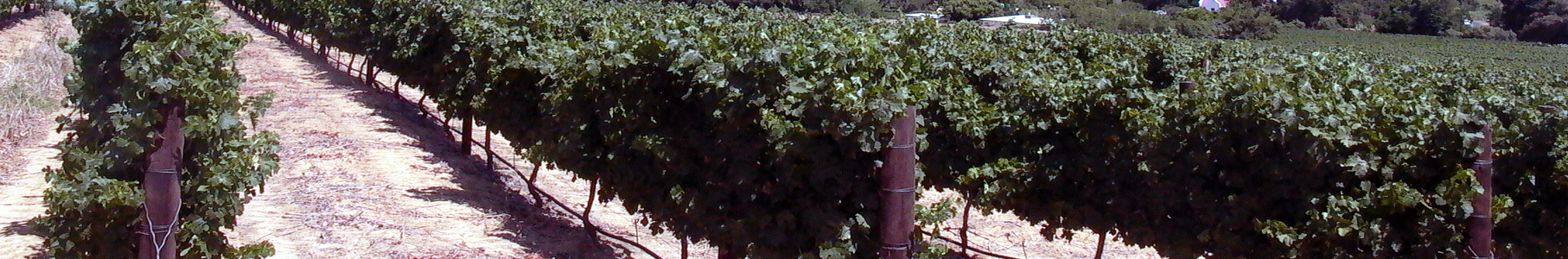 Place to Place Shuttles and Tours